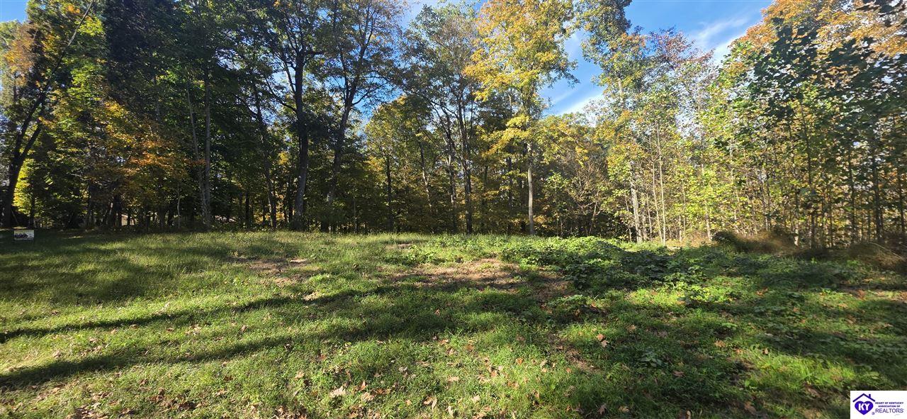 Lot 16 Ferncliff Road photo 2