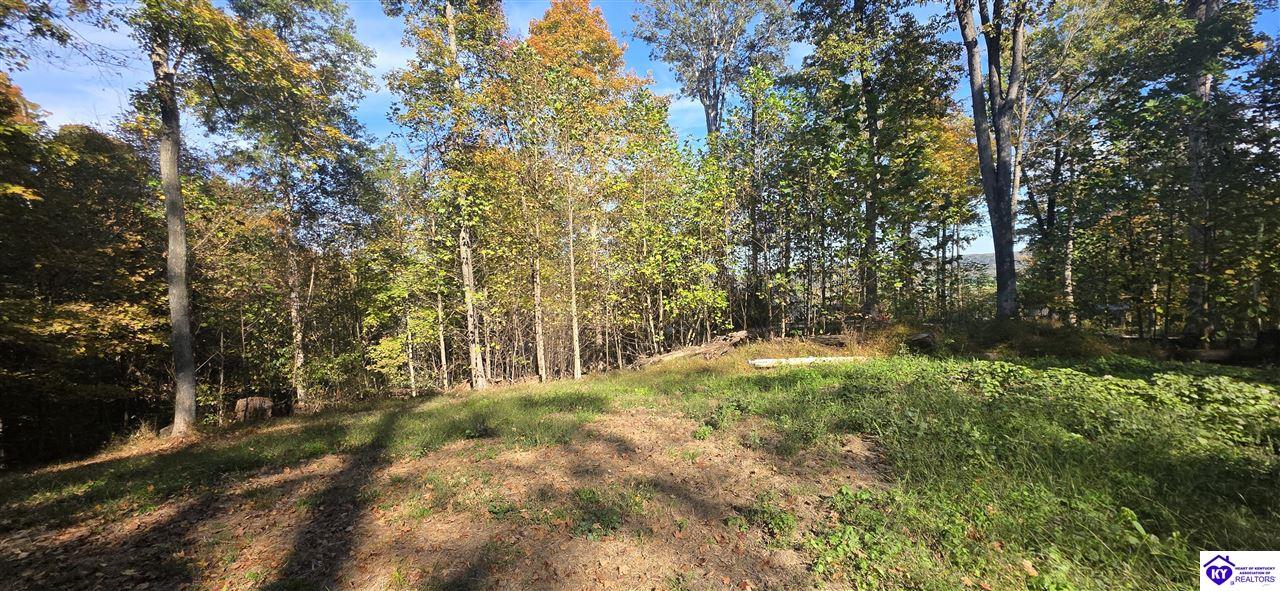 Lot 16 Ferncliff Road photo 4
