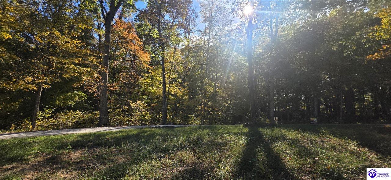 Lot 16 Ferncliff Road photo 5