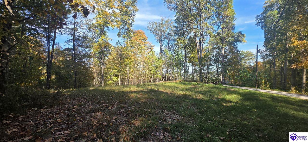 Lot 16 Ferncliff Road photo 8