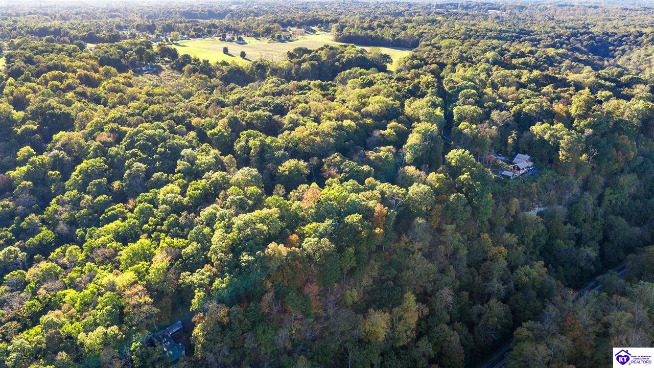 lot 25 Ferncliff Road photo 11