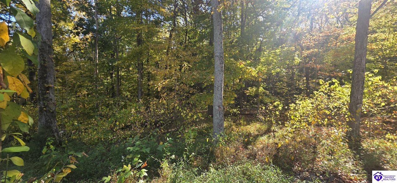 lot 25 Ferncliff Road photo 4