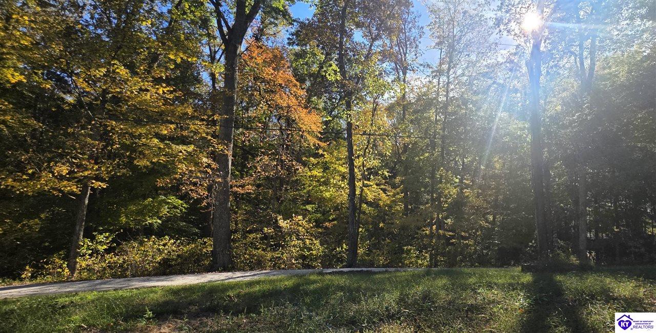 lot 25 Ferncliff Road photo 5