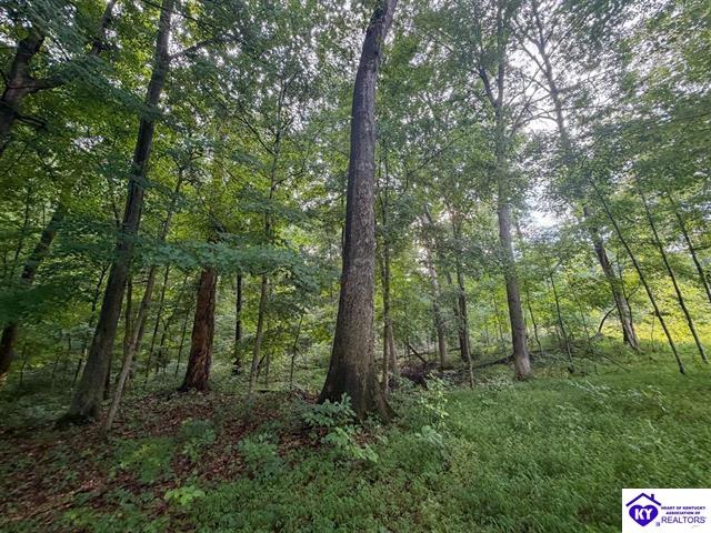 lot 25 Ferncliff Road photo 6